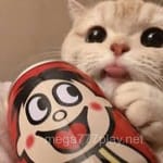 Avatar de Melissa Montoya